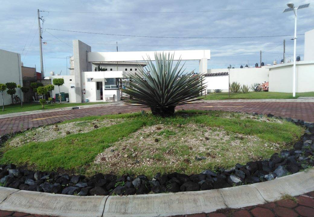 IMG-20200809-WA0010