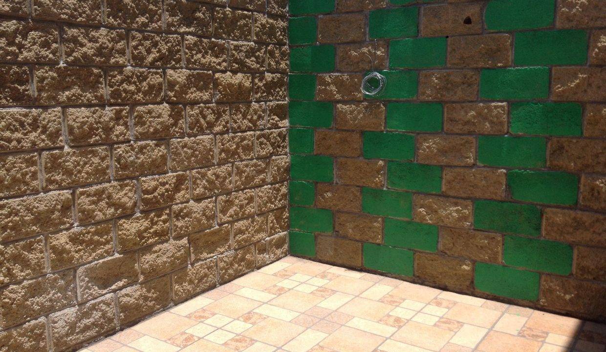 image (2)