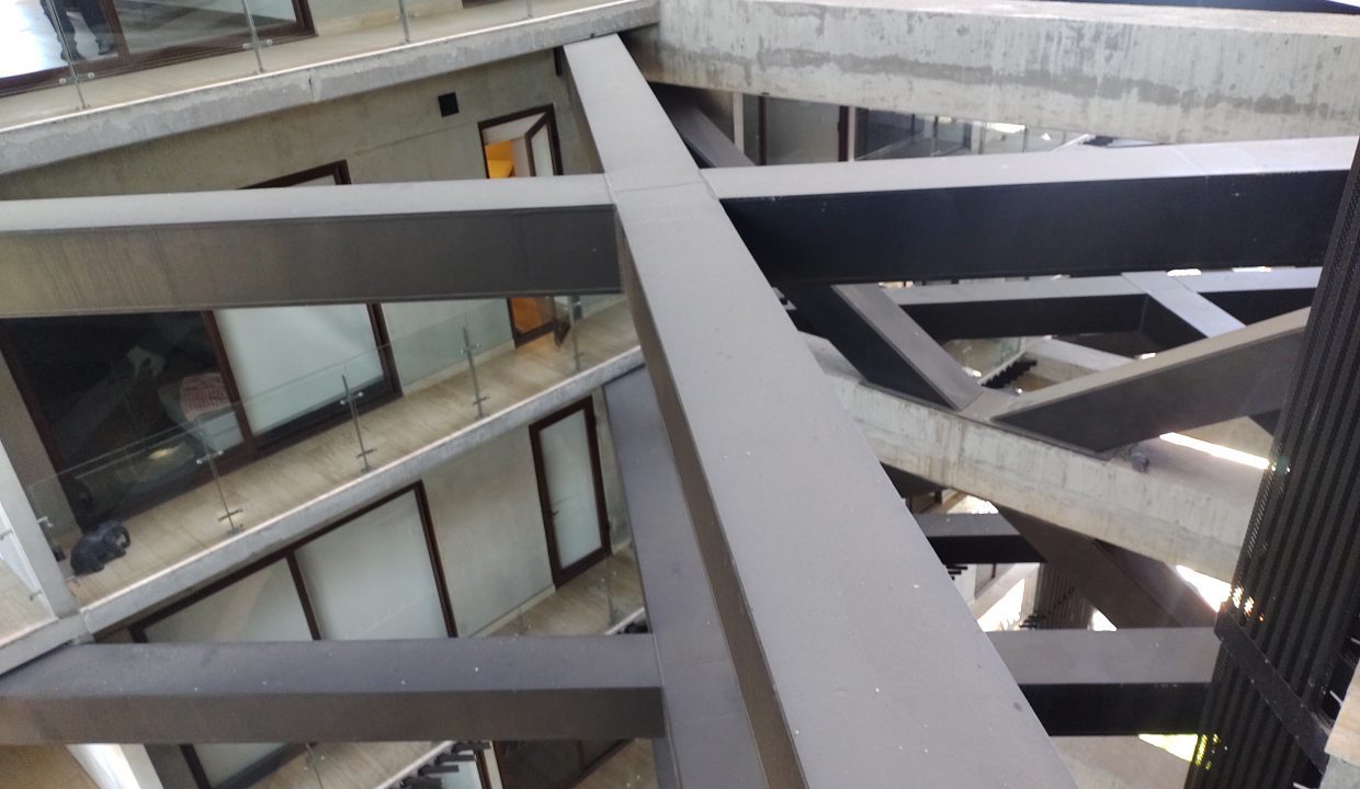 IMG_20230225_135919421