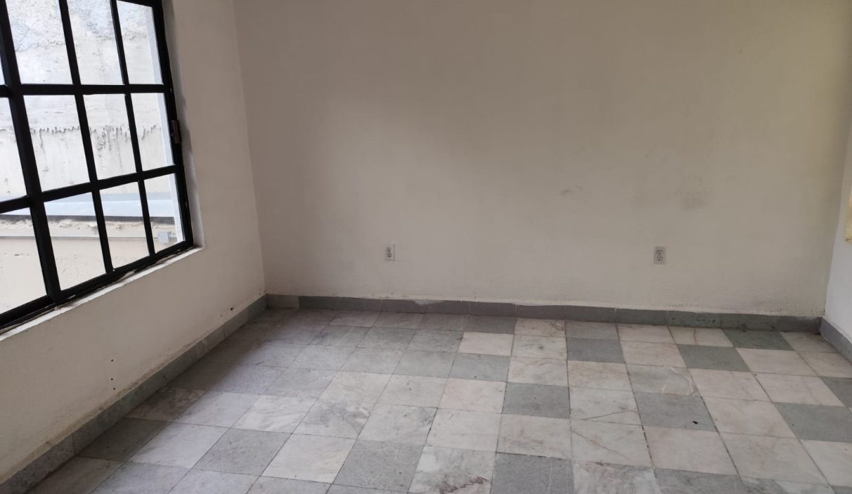 t31