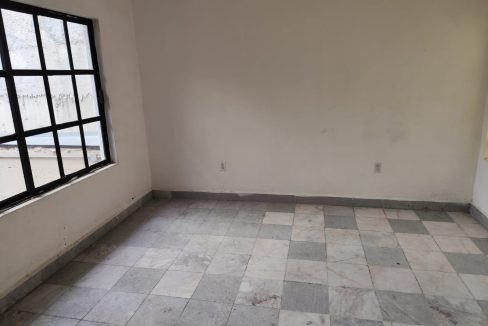 t31